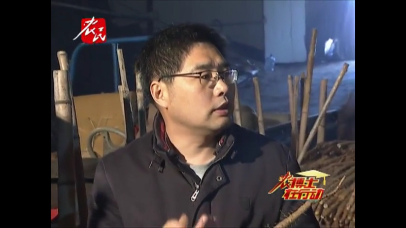 棒药，沙地条形好，口感好，绵甜糯
