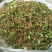 鲜一支箭