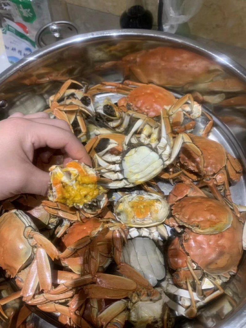盘锦稻田肥蟹