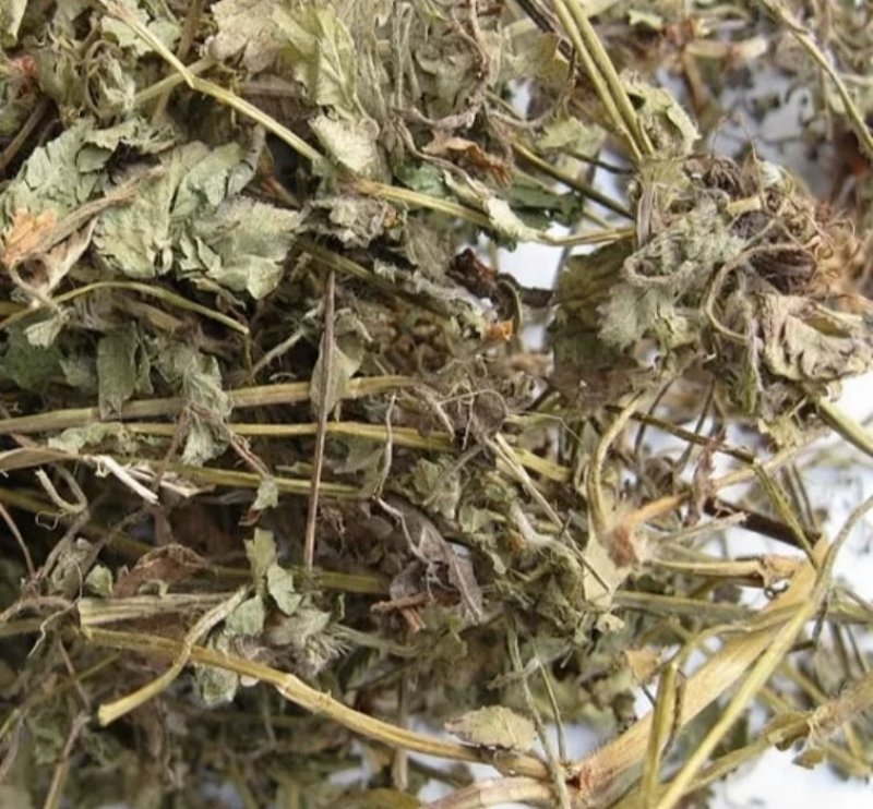连钱草，产地四川道地药材，质优价实，品质保证，药典标准