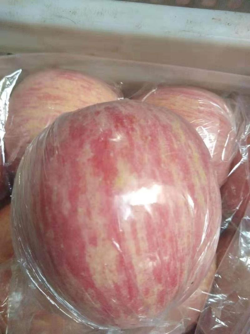 红富士苹果应季新鲜水果山西临猗主产超市批发档口专供