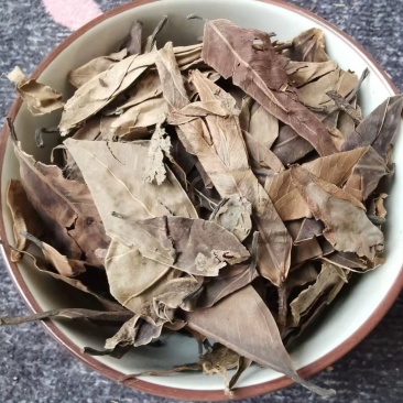 榕树叶,道地药材,质优价实,品质保证,药典标准一公斤起批