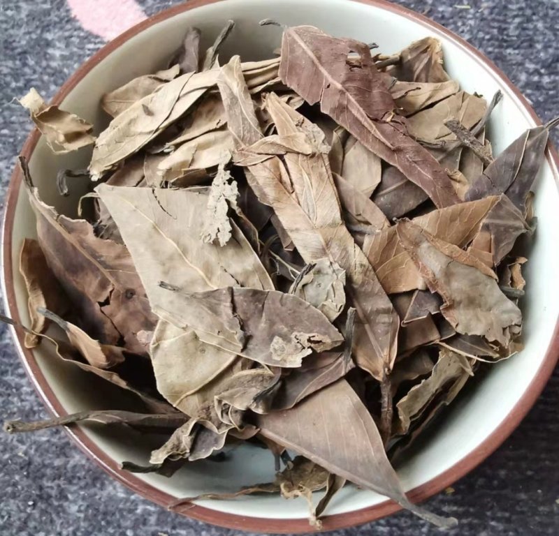 榕树叶，道地药材，质优价实，品质保证，药典标准一公斤起批