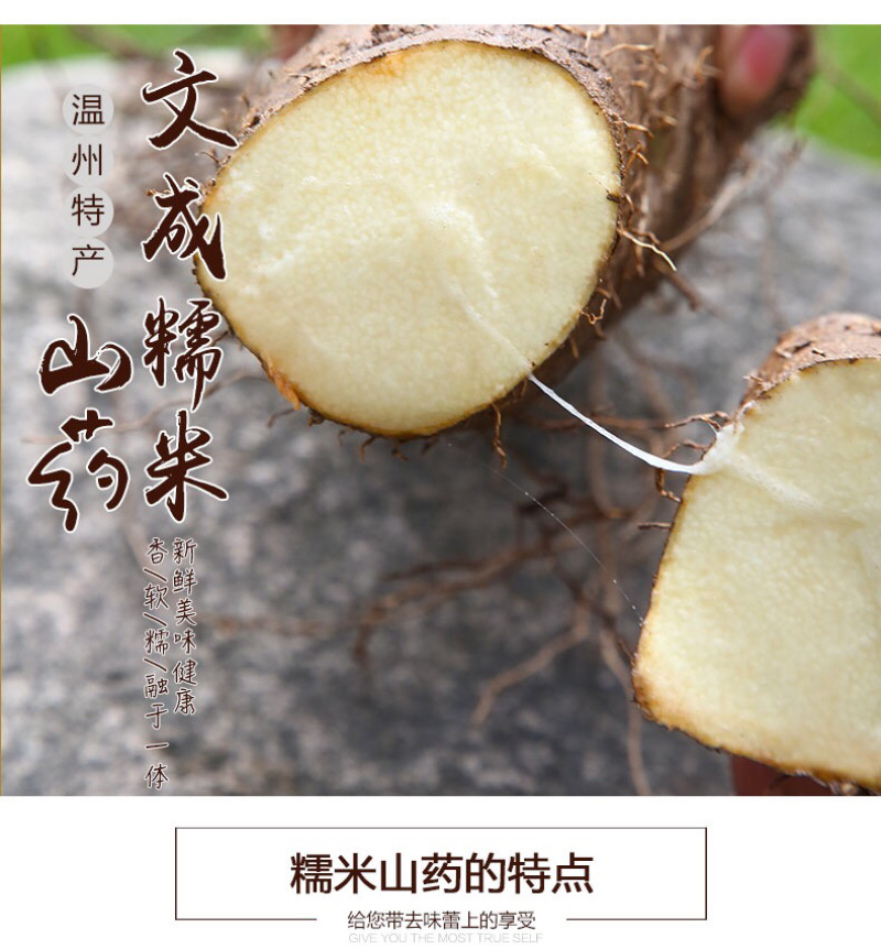 温州文成正宗糯米山药有机无公害农产品蔬菜糯米薯山药