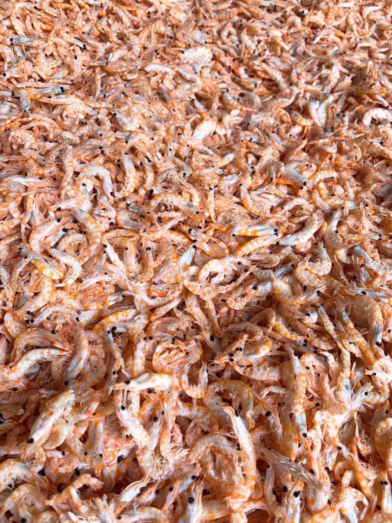 磷虾干