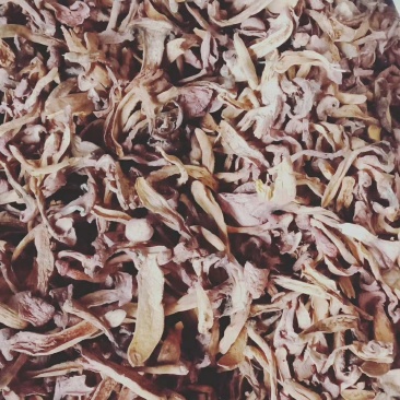 食用菌干货
