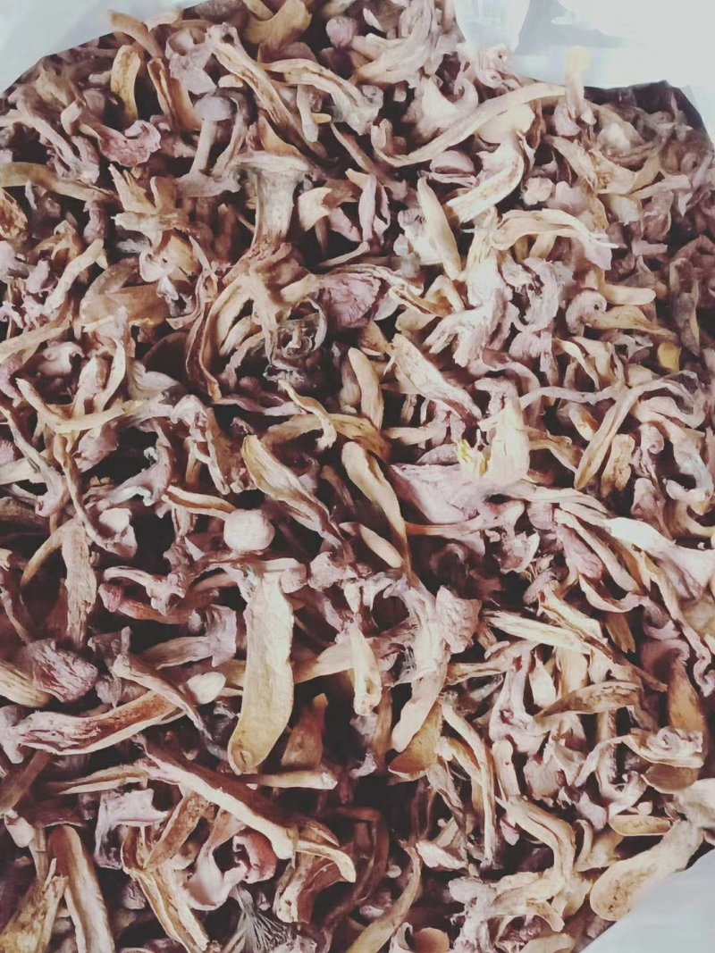 食用菌干货