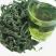 【品质茶】桑叶茶，霜桑叶，1200亩桑苗基地直供量大从优