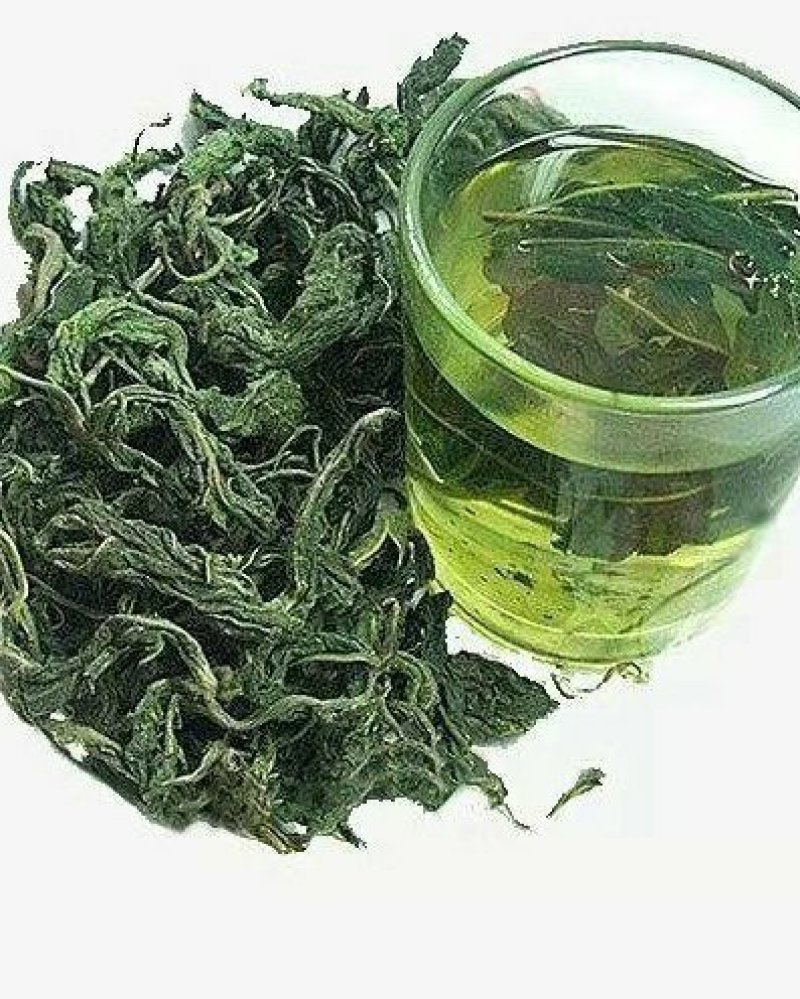 【品质茶】桑叶茶，霜桑叶，1200亩桑苗基地直供量大从优