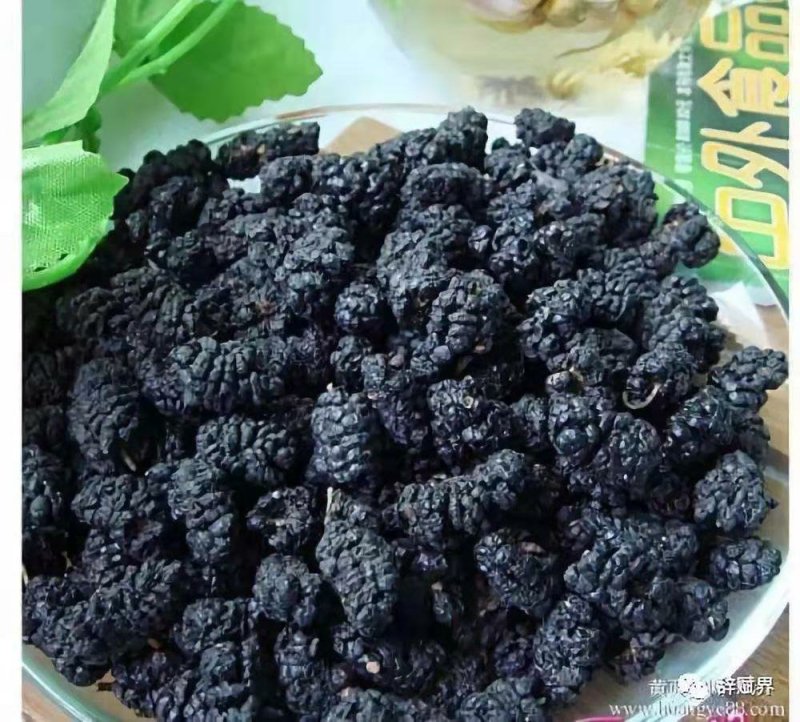 【品质茶】桑叶茶，霜桑叶，1200亩桑苗基地直供量大从优