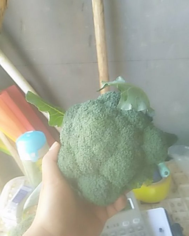 西蓝花