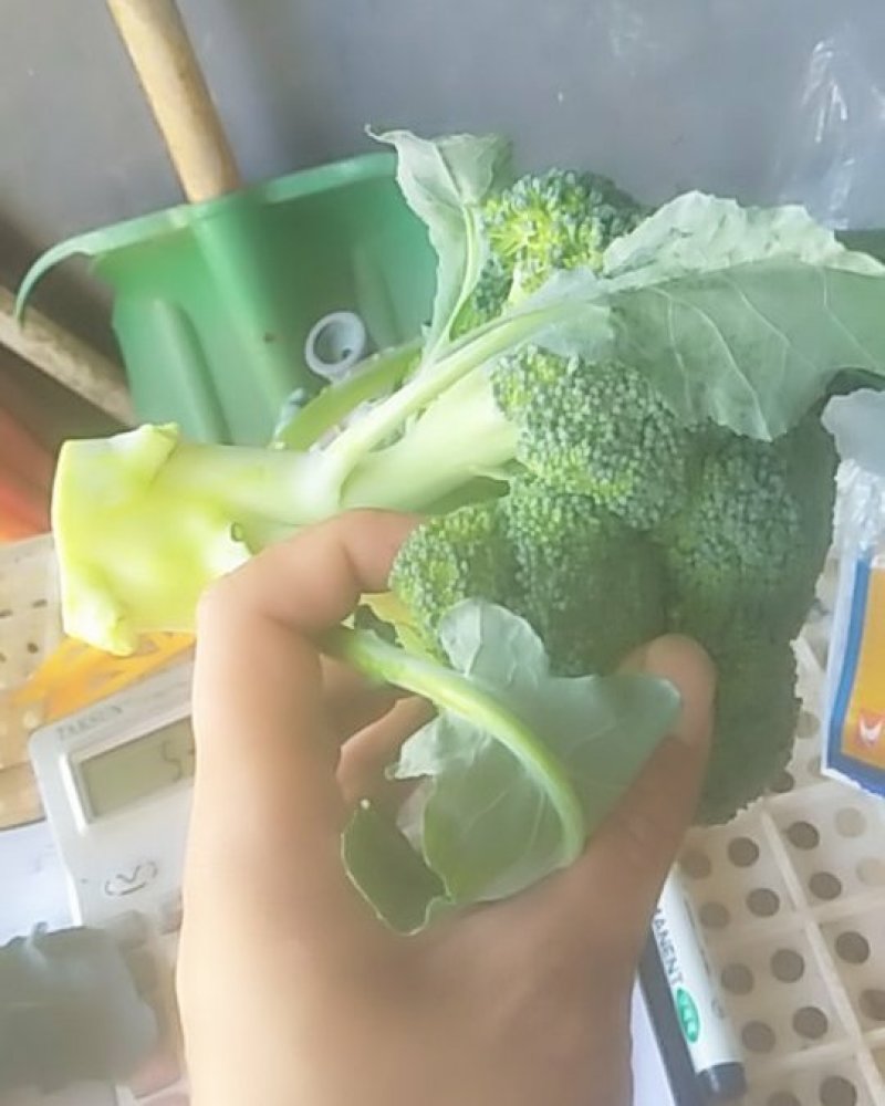 西蓝花