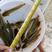 三黄塘角鱼，本地土塘虱