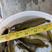 三黄塘角鱼，本地土塘虱，10公分起