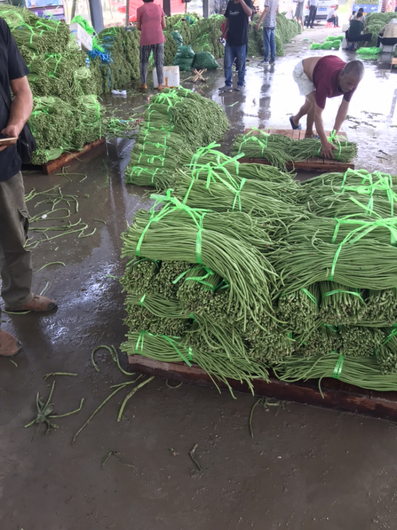 缸豆，豆角