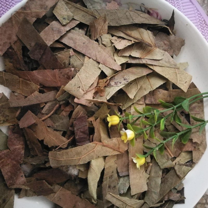 柿叶，道地药材，质优价实，品质保证，药典标准一公斤起批