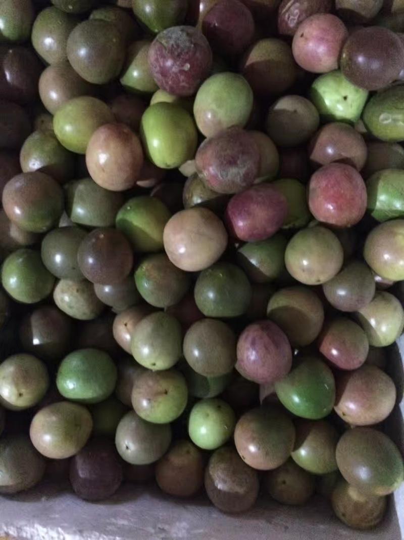 越南百香果台农紫香紫果酸甜产地直发、供超市档口、批量散单