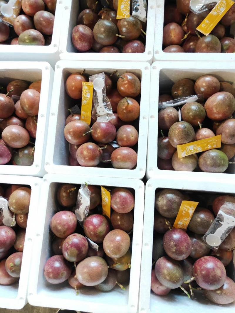 越南百香果台农紫香紫果酸甜产地直发、供超市档口、批量散单