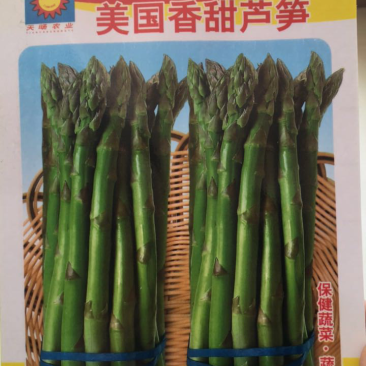 【牛商推荐】种子芦笋种子美国香甜芦笋种子