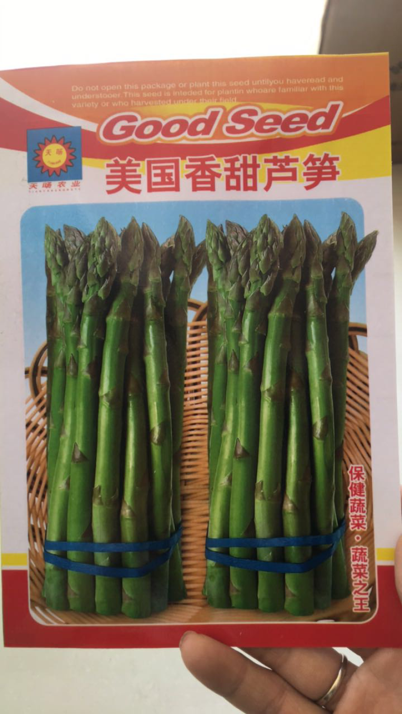 【牛商推荐】种子芦笋种子美国香甜芦笋种子