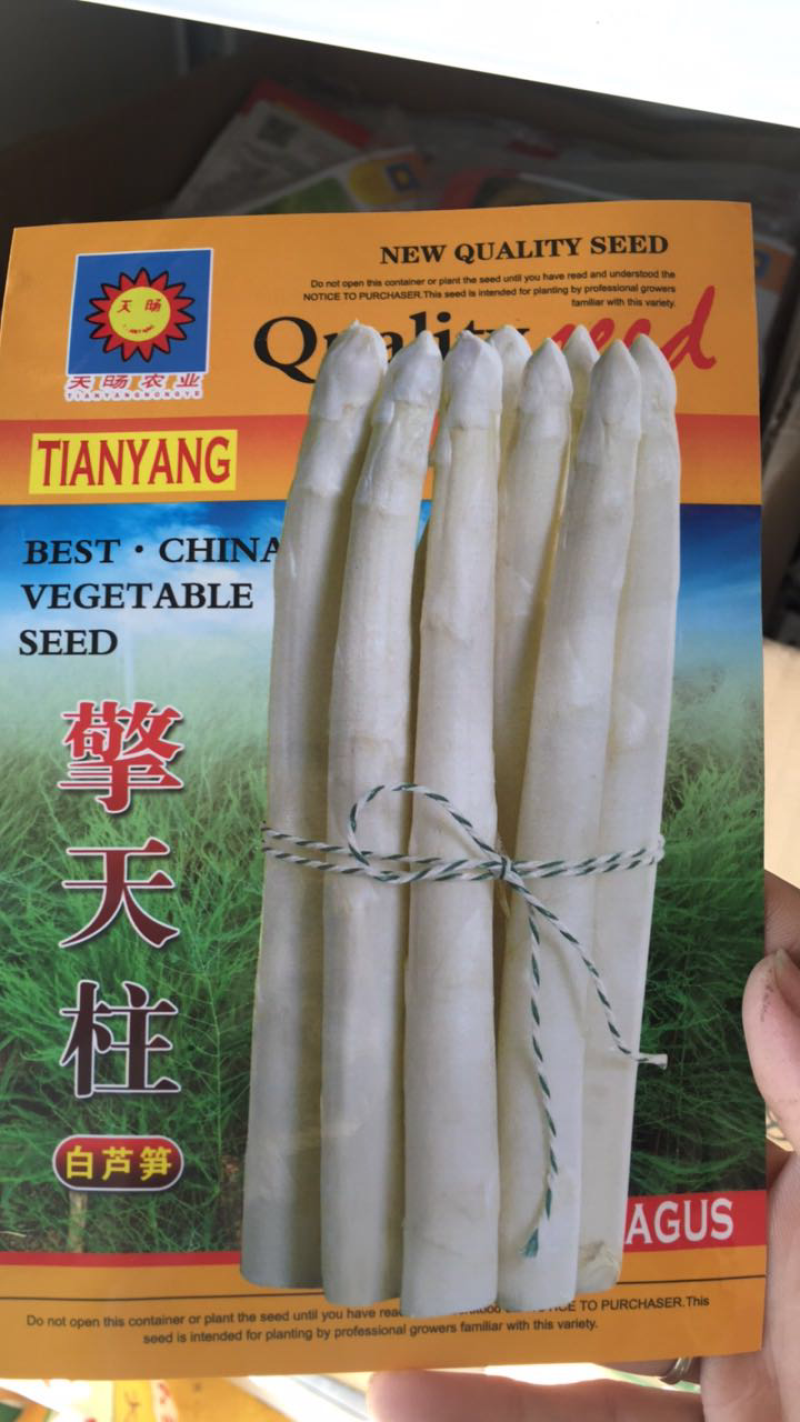 【牛商推荐】种子芦笋种子美国香甜芦笋种子