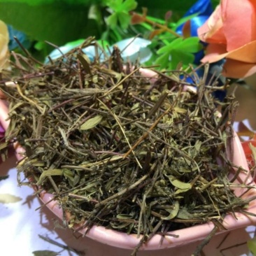 毛麝香，道地药材，质优价实，品质保证，药典标准，产地广西