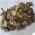 兔儿伞，道地药材，质优价实，品质保证，药典标准一公斤起批