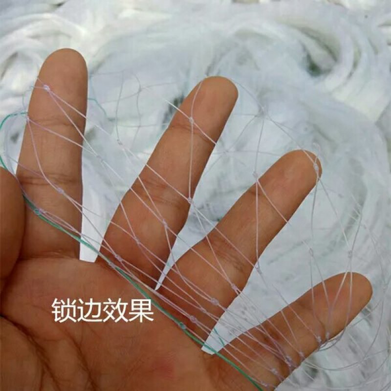 防鸟网果园防鸟网鱼塘大棚稻谷葡萄网阳台防护网