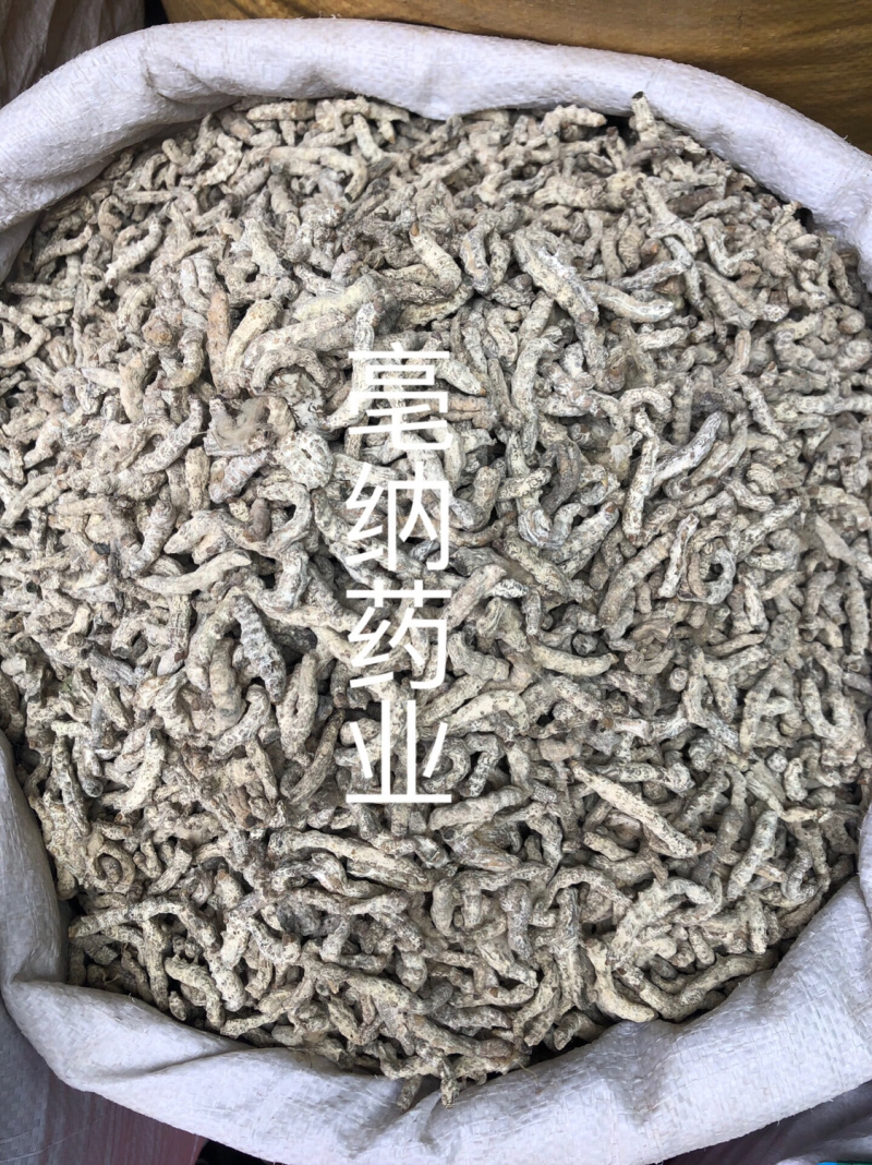 僵蚕中药材白僵蚕1⃣️公斤起批