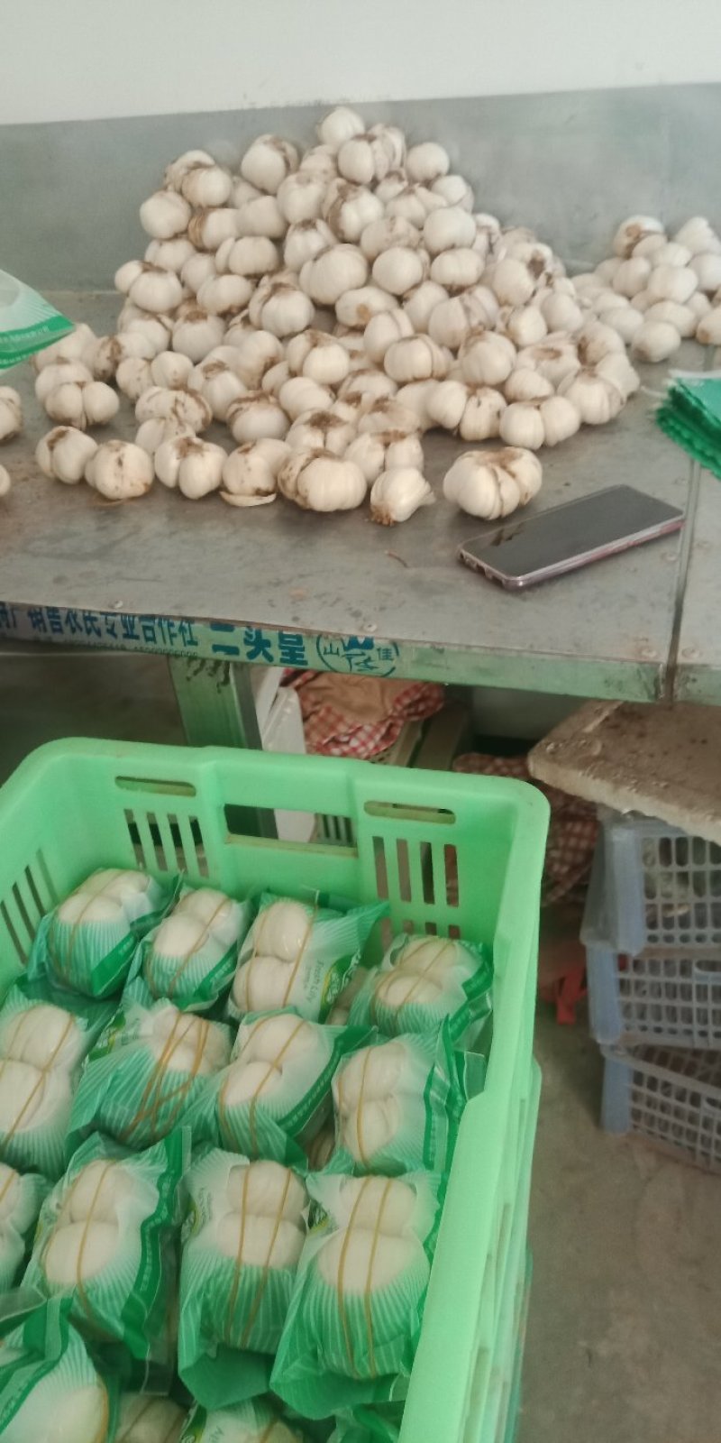 食用生四头鲜百合非特级