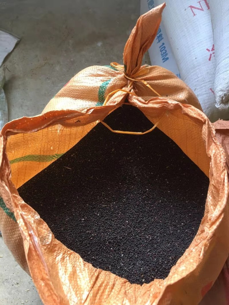 油菜籽广西壮族自治区桂林市全州县油菜籽