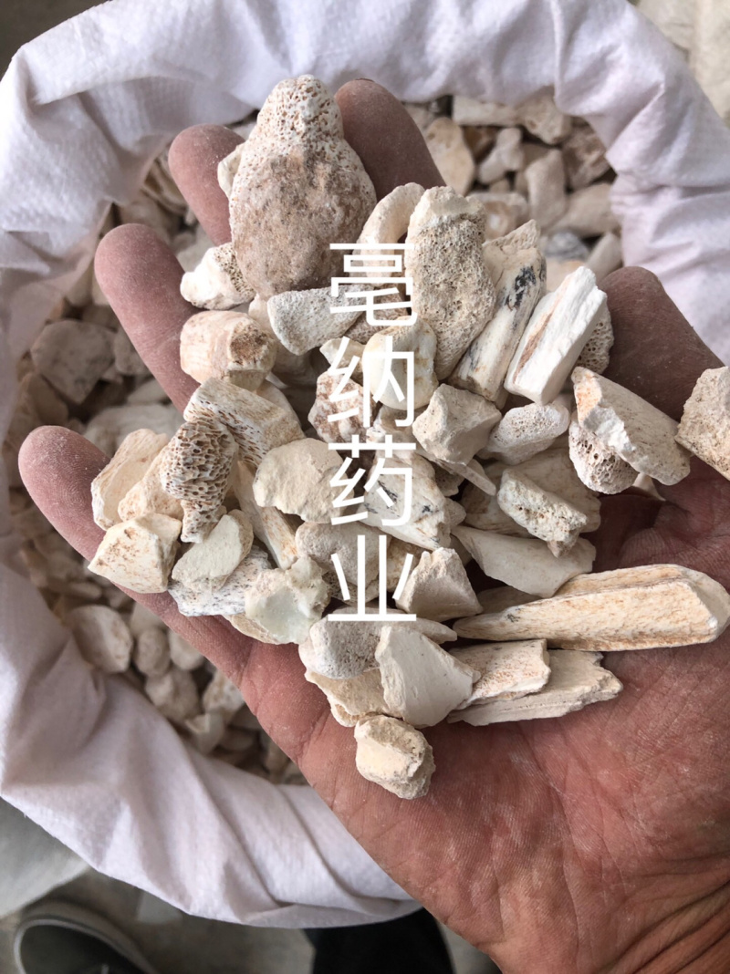 龙骨矿石大全一公斤起批大货批发