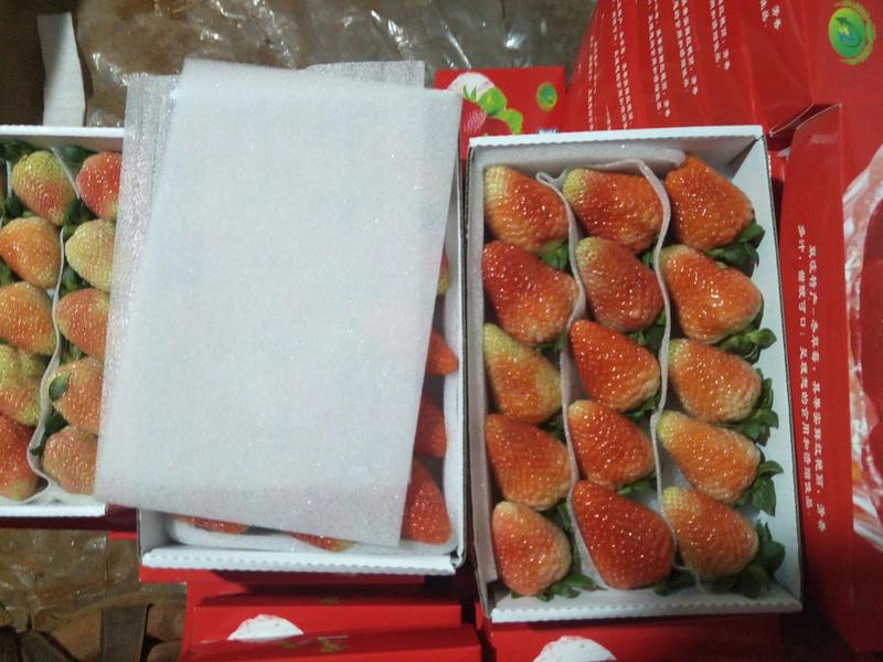 夏季草莓支持一件代发量大优惠可以视频看货