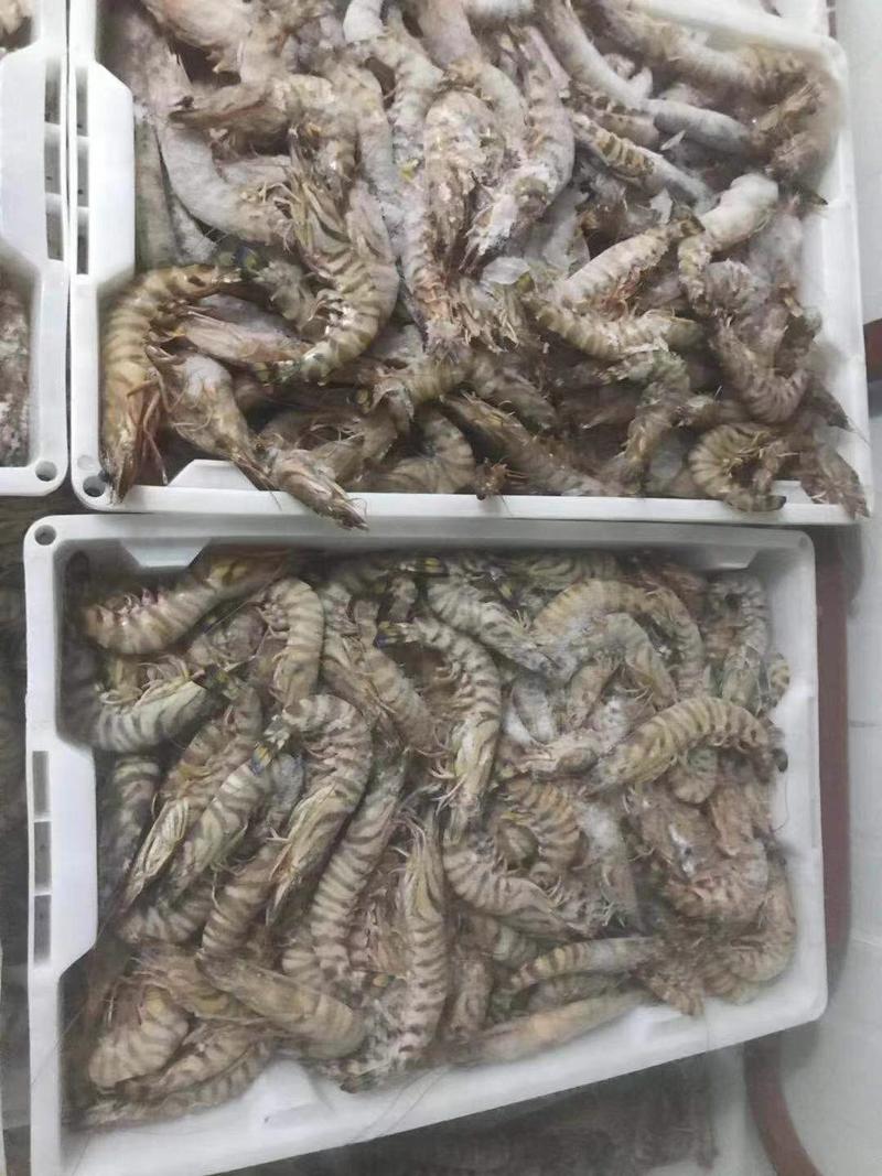 舟山带鱼，竹节虾