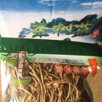 茶树菇