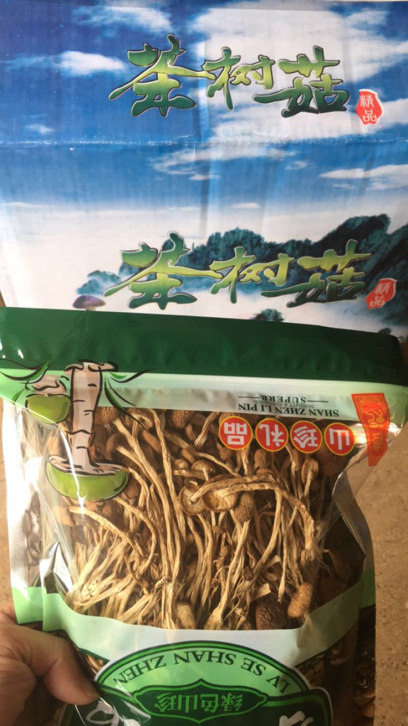 茶树菇