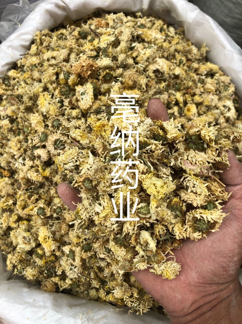 亳菊花产地货源一公斤起批大货批发新货亳菊