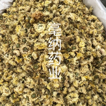 亳菊花产地货源一公斤起批大货批发新货亳菊