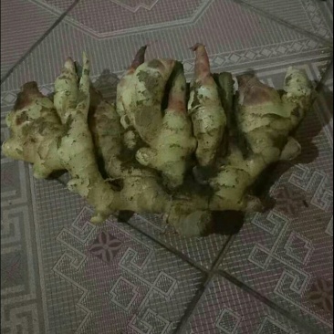 姜