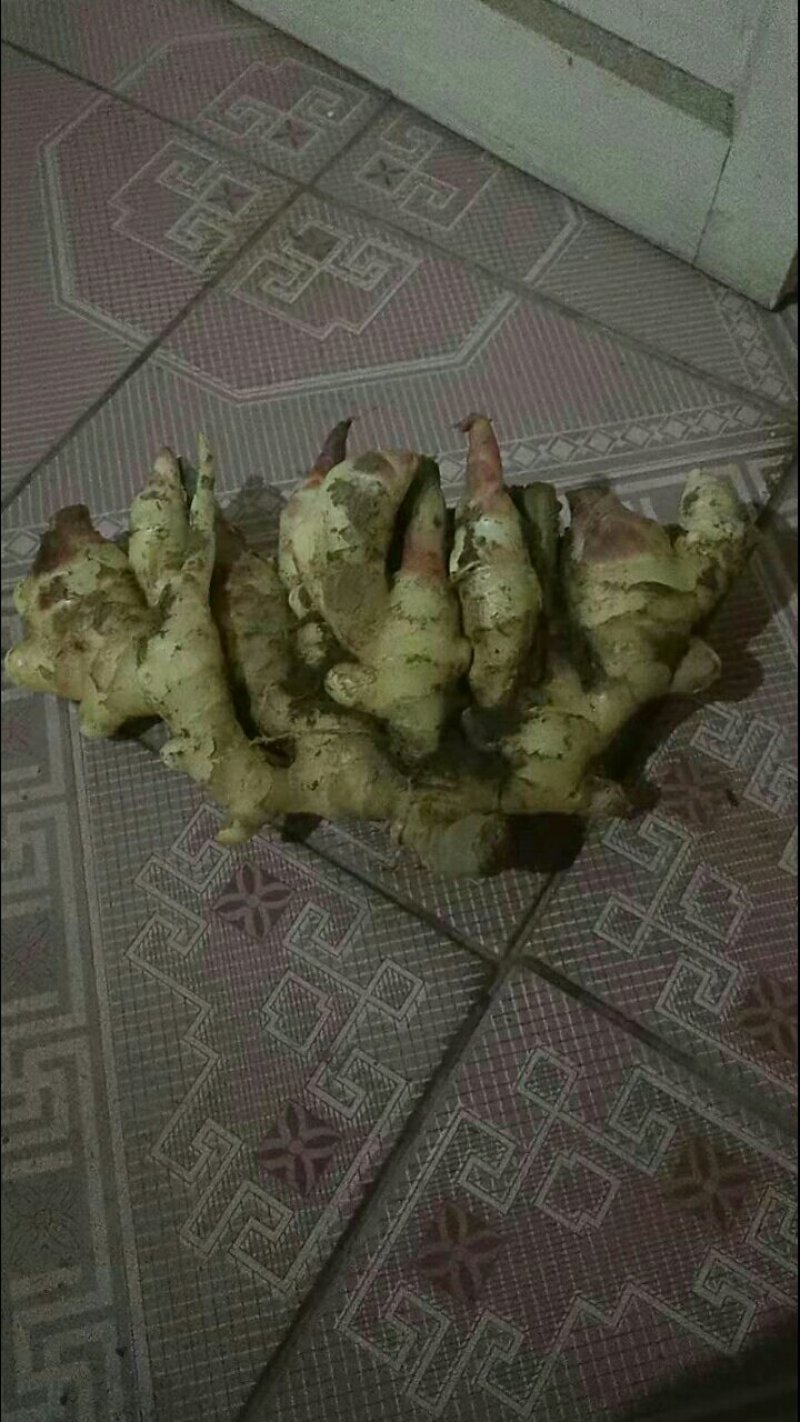姜