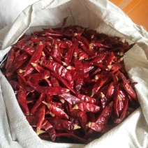 印度魔鬼椒s17特香巨辣辣椒段节子辣椒面商用餐饮批发