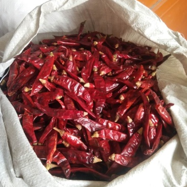 印度魔鬼椒s17特香巨辣辣椒段节子辣椒面商用餐饮批发