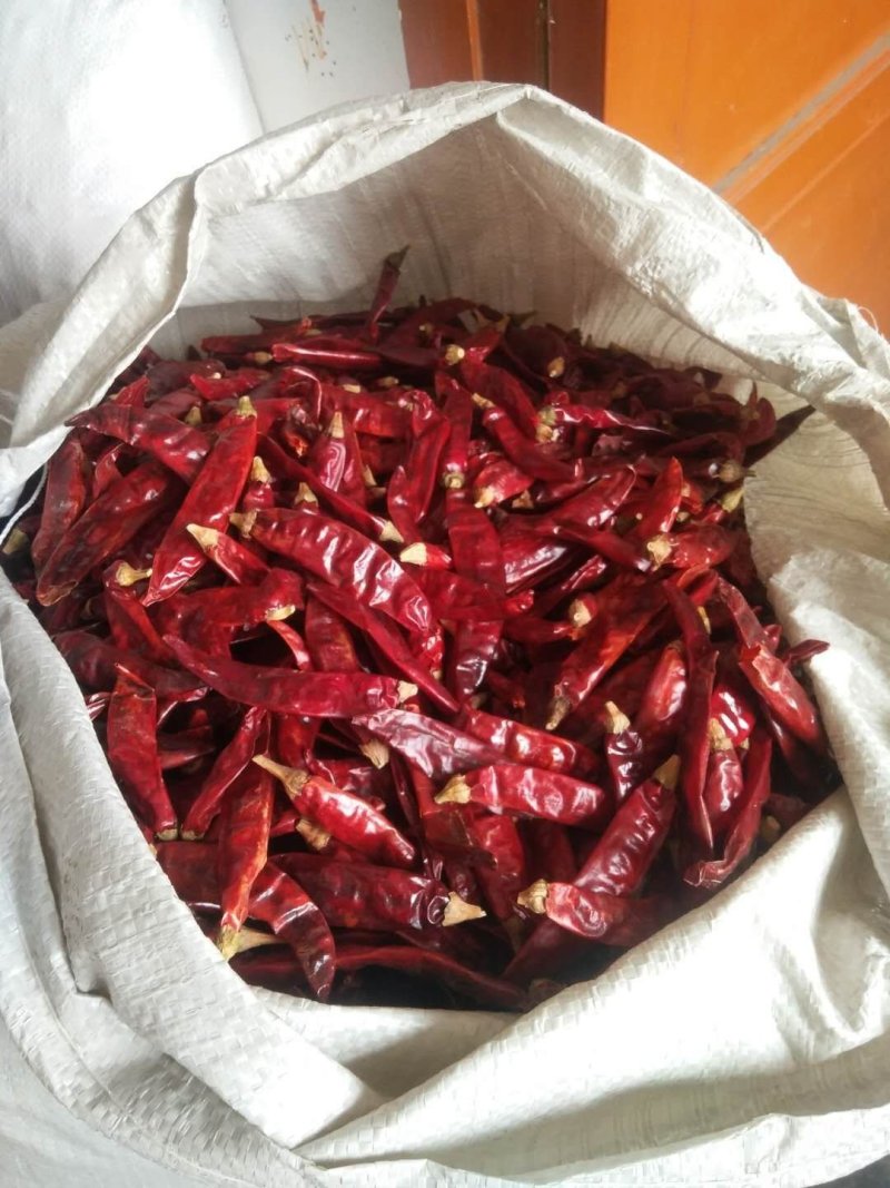 印度魔鬼椒s17特香巨辣辣椒段节子辣椒面商用餐饮批发