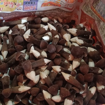 食用菌