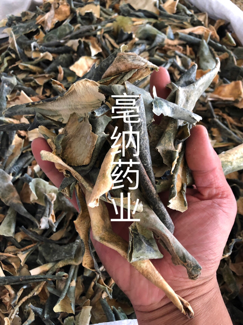 冬瓜皮干冬瓜皮中药材一公斤起批