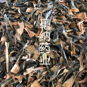 冬瓜皮干冬瓜皮中药材一公斤起批