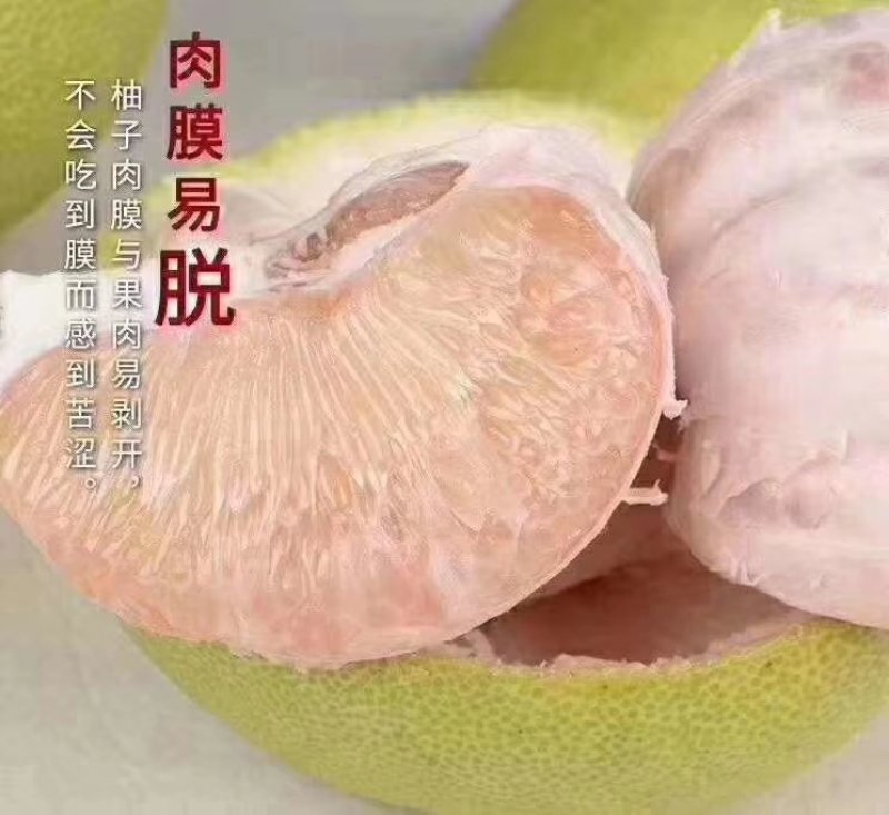 福建度尾红心文旦柚，老树文旦柚可一件代发批发，多规格货源