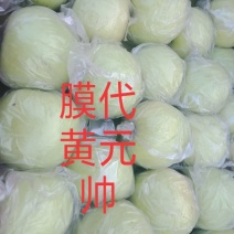 黄元帅有光果，膜代果，纸代果，果面光滑，口感好，需要