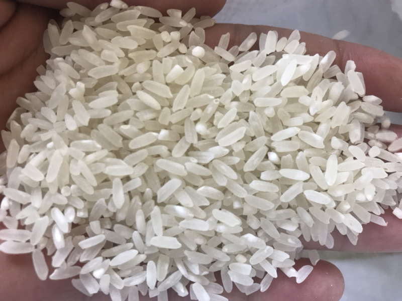 东北正宗珍品稻花香大米长粒香大米场地直发