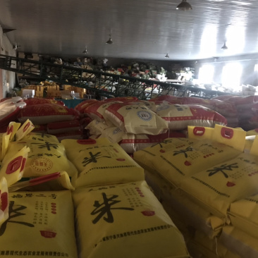 东北正宗珍品稻花香大米长粒香大米场地直发
